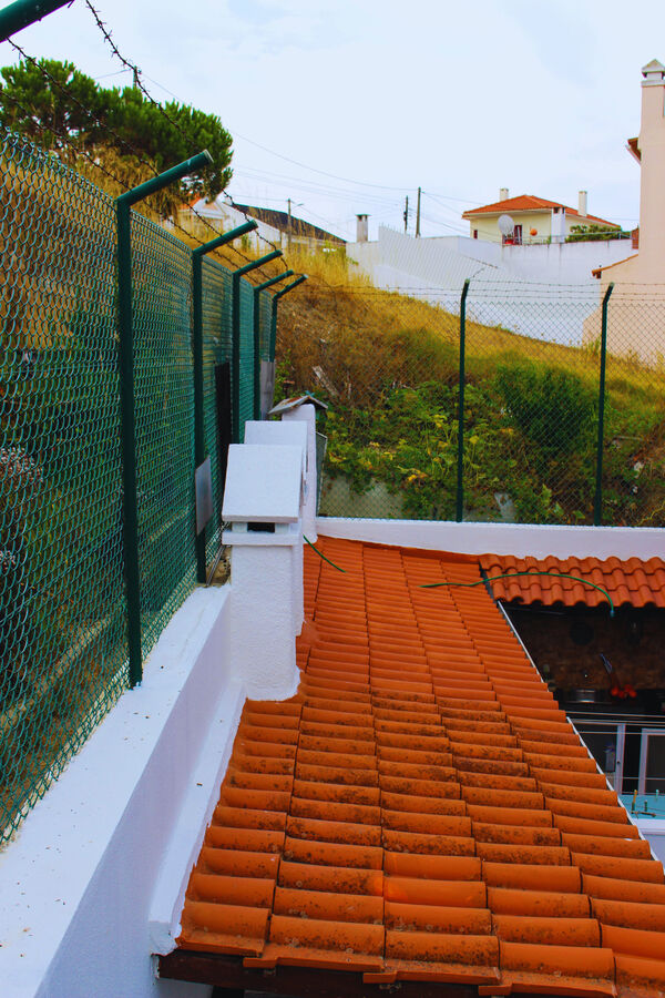 Side roof edge and gutter detail